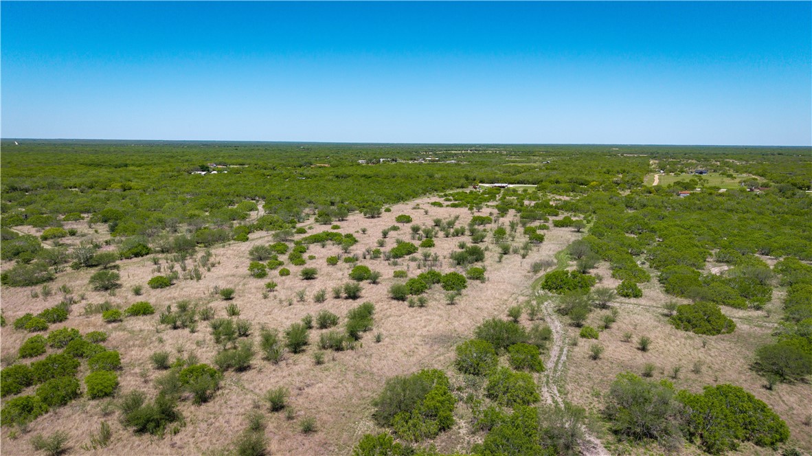 Tr 4 Fm 735 Alice, TX 78332 - Photo 6 of 39