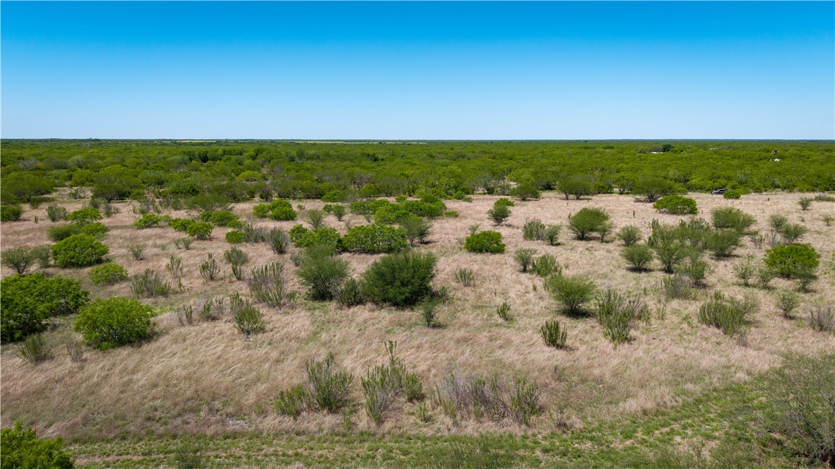 Tr 4 Fm 735 Alice, TX 78332 - Photo 7 of 39 a view of a lake view