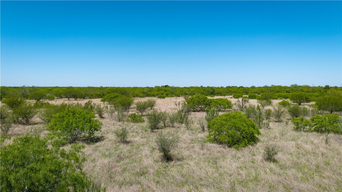 Tr 4 Fm 735 Alice, TX 78332 - Photo 9 of 39 a view of a city with lush green forest