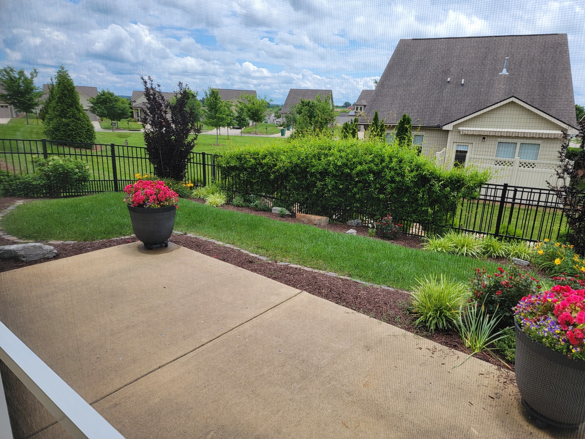 141 Tipton Pass Spring Hill, TN 37174 - Photo 36 of 49 a view of a house with a garden and pathway
