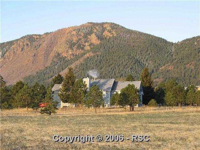 18325 Spruce Road Monument, CO 80132 - Photo 11 of 13
