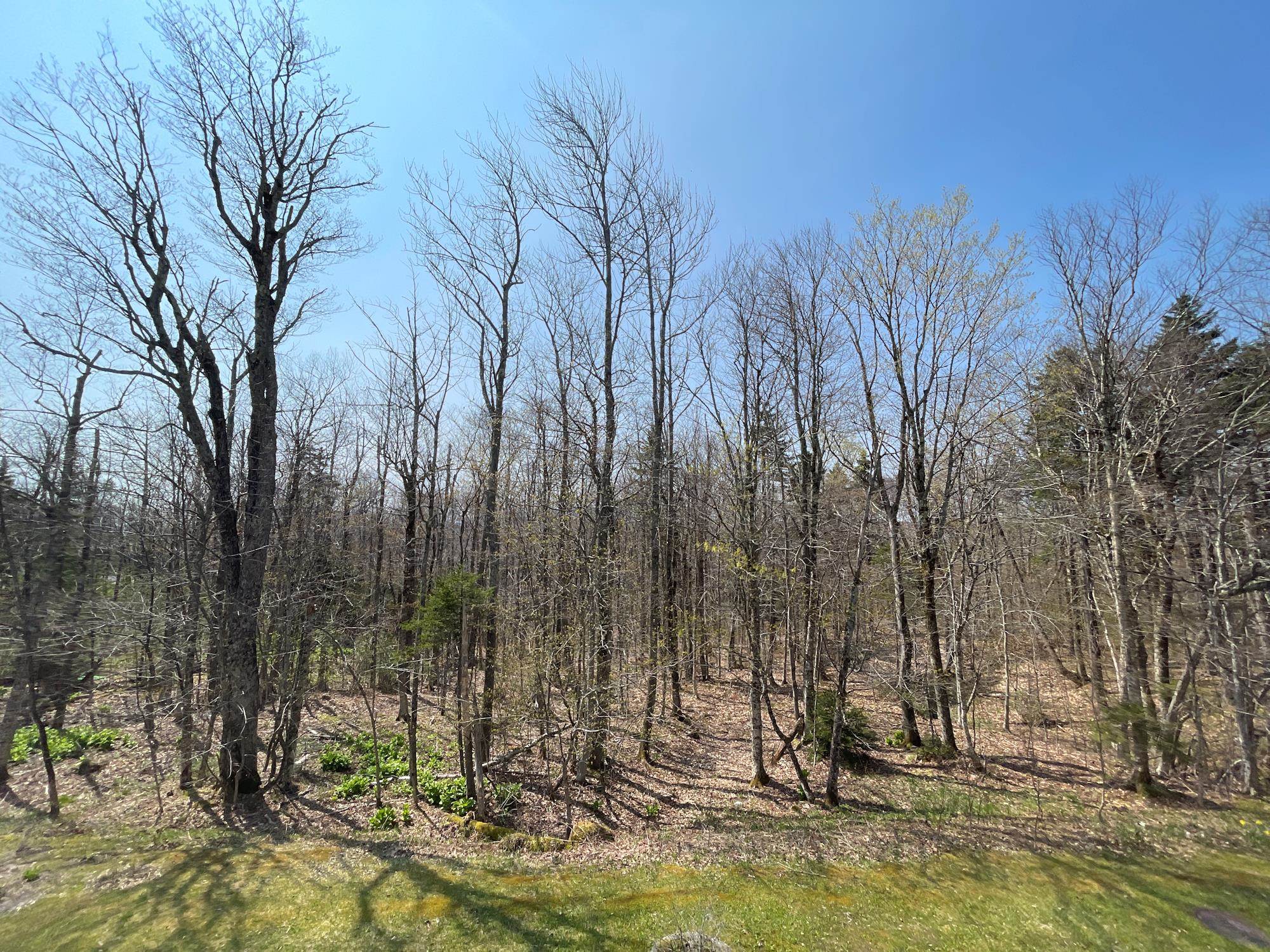 132 Sugar Brook Road, Unit A3 Peru, VT 05152 - Photo 15 of 40