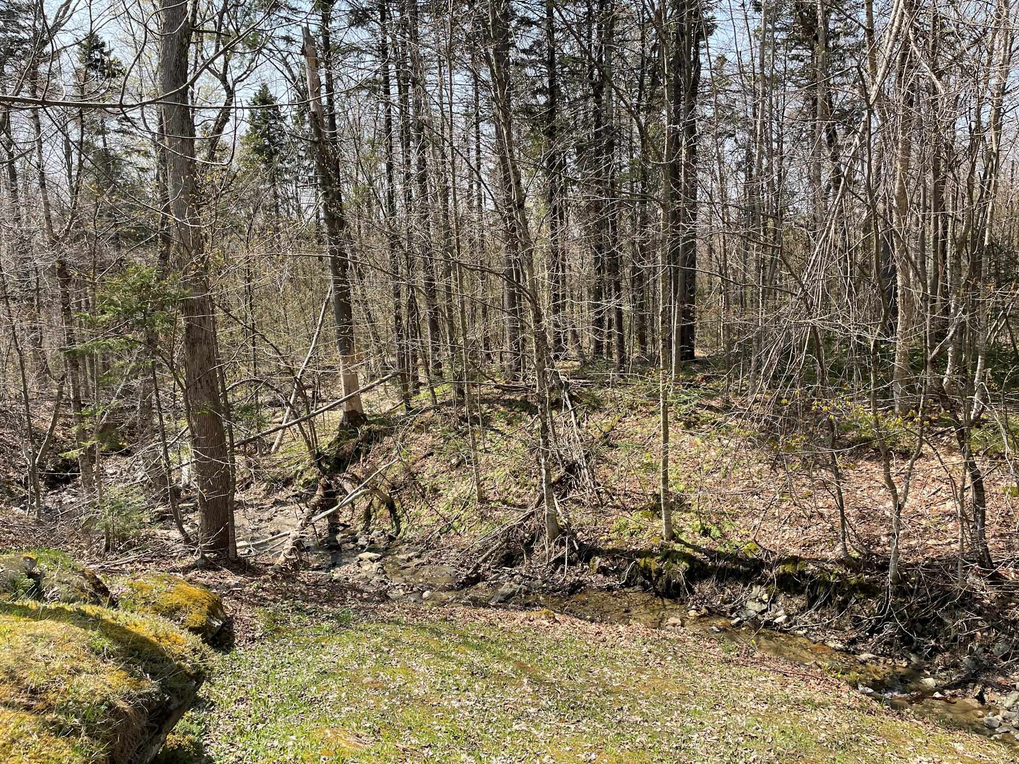 132 Sugar Brook Road, Unit A3 Peru, VT 05152 - Photo 33 of 40