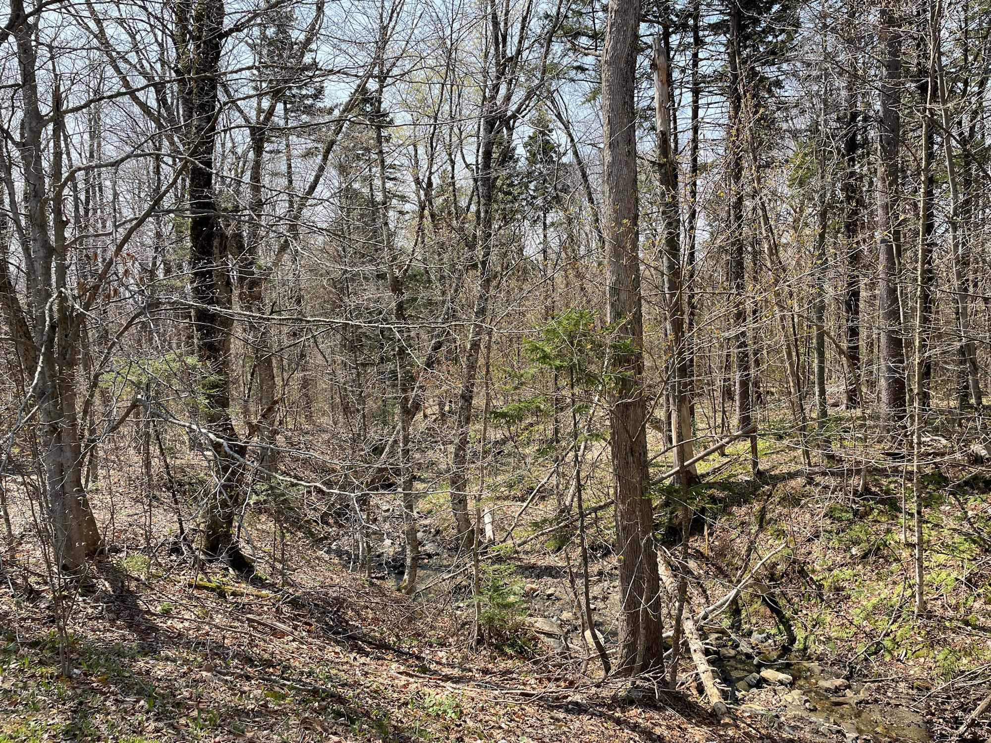 132 Sugar Brook Road, Unit A3 Peru, VT 05152 - Photo 34 of 40