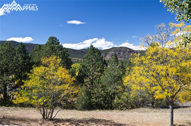 383 Raspberry Lane Monument, CO 80132 - Photo 28 of 36 Another view to the west from this home - no neighbors, just the birds
