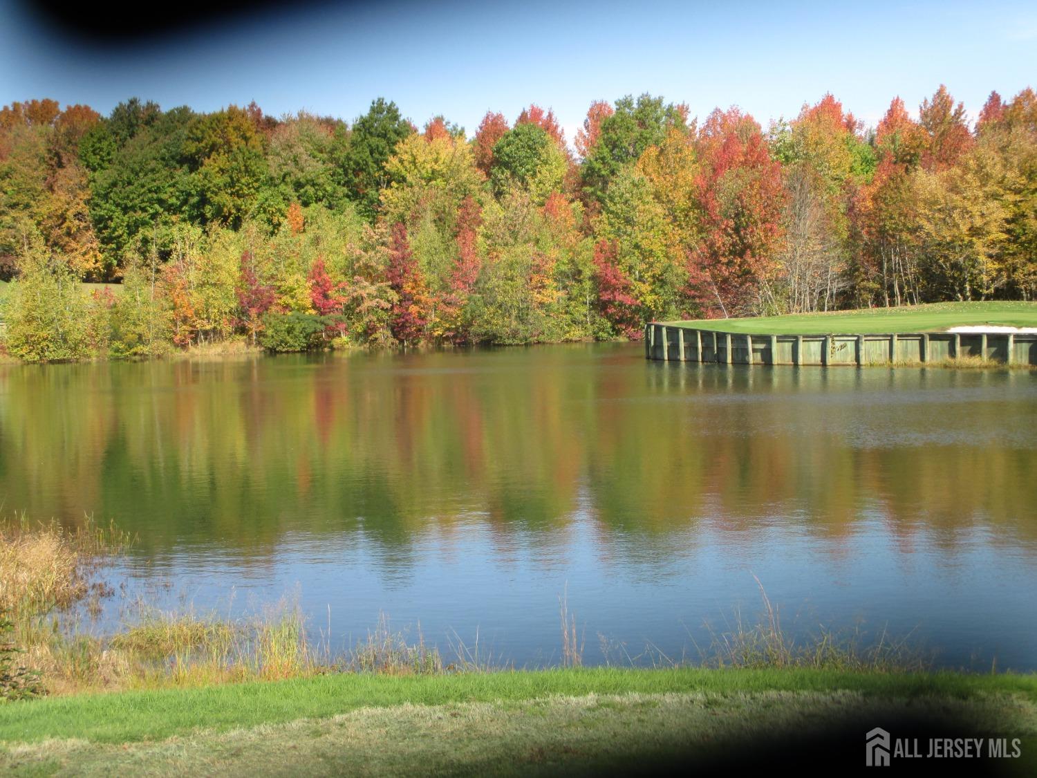 82 Beth Page Drive Monroe Township, NJ 08831 - Photo 35 of 40 a view of a lake with a yard