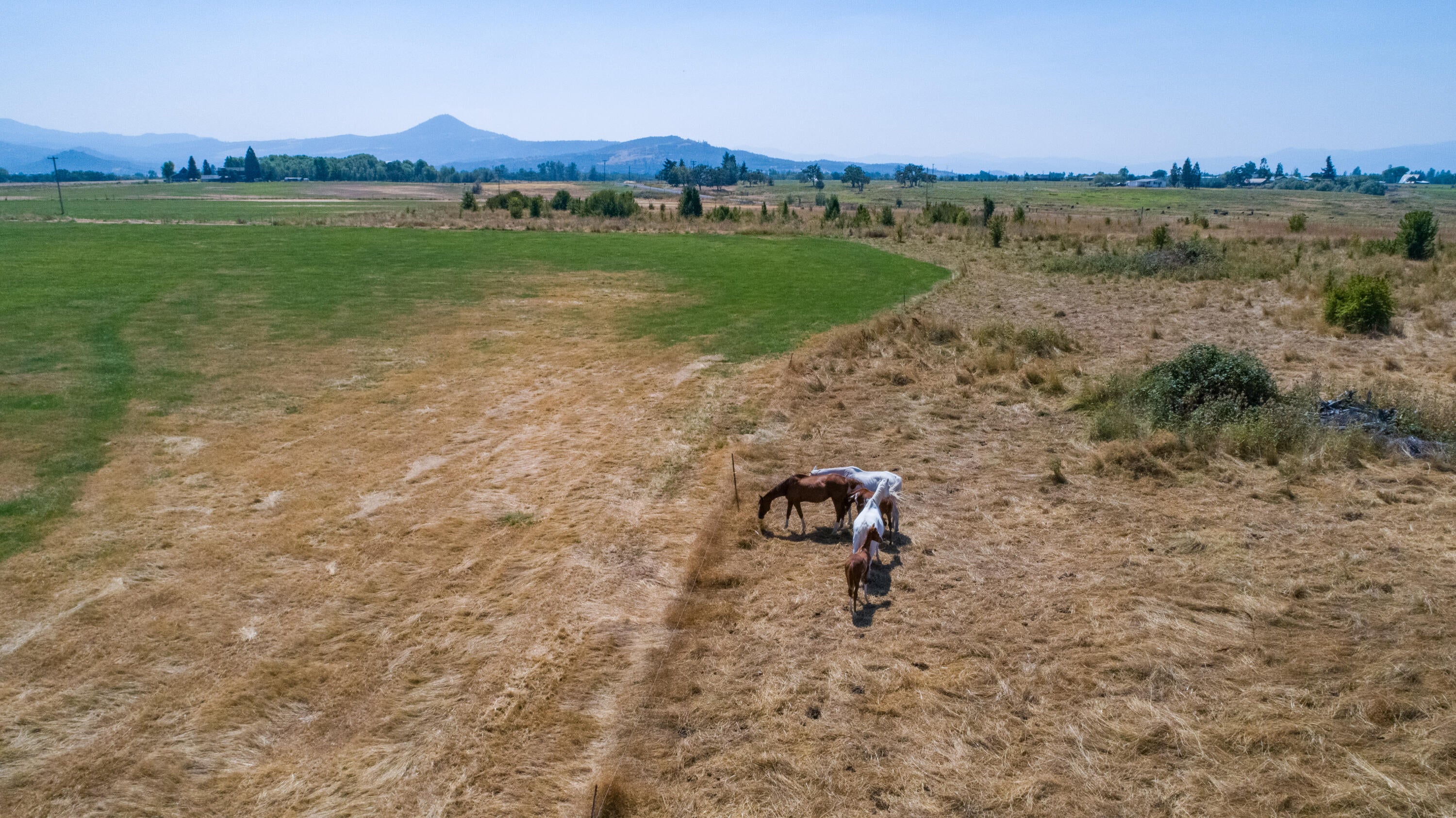 3760 Alta Vista Road Eagle Point, OR 97524 - Photo 54 of 74 DJI_0730