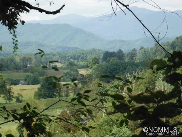 0 Ratcliff Cove Road Waynesville, NC 28786 - Photo 1 of 8 Gallery Image 1