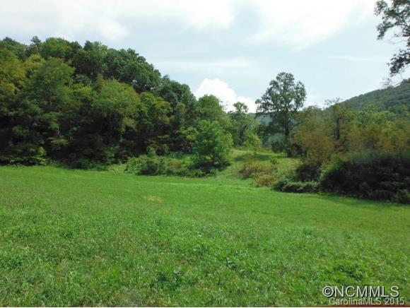 0 Ratcliff Cove Road Waynesville, NC 28786 - Photo 2 of 8 Gallery Image 2