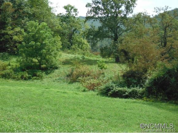 0 Ratcliff Cove Road Waynesville, NC 28786 - Photo 3 of 8 Gallery Image 3