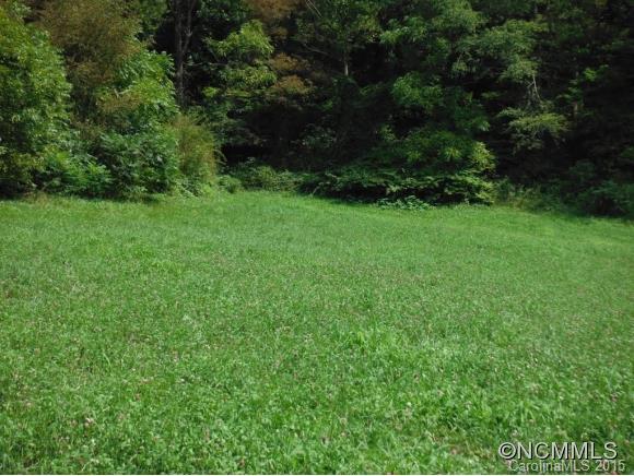0 Ratcliff Cove Road Waynesville, NC 28786 - Photo 4 of 8 Gallery Image 4