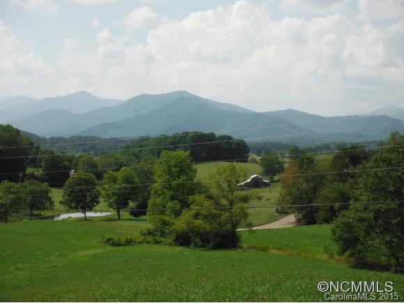 0 Ratcliff Cove Road Waynesville, NC 28786 - Photo 5 of 8 Gallery Image 5