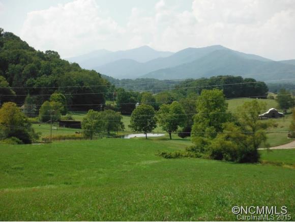 0 Ratcliff Cove Road Waynesville, NC 28786 - Photo 6 of 8 Gallery Image 6