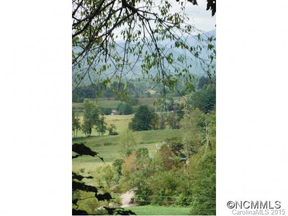 0 Ratcliff Cove Road Waynesville, NC 28786 - Photo 8 of 8 Gallery Image 8