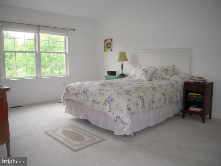 1975 Upper Ridge Road Green Lane, PA 18054 - Photo 8 of 16 Master Bedroom