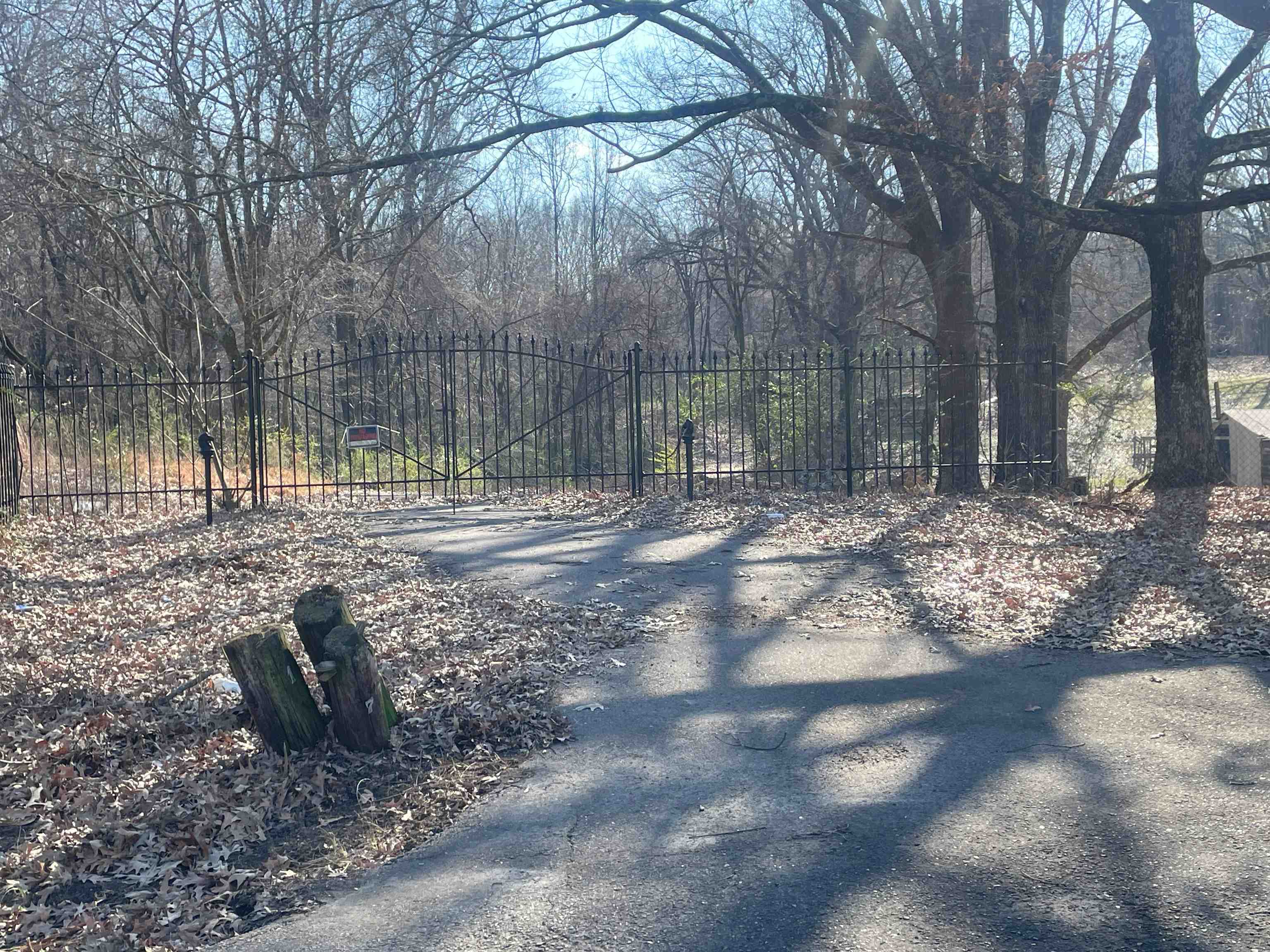 175 Windsor Road Memphis, TN 38109 - Photo 2 of 6 a view of a yard with a tree