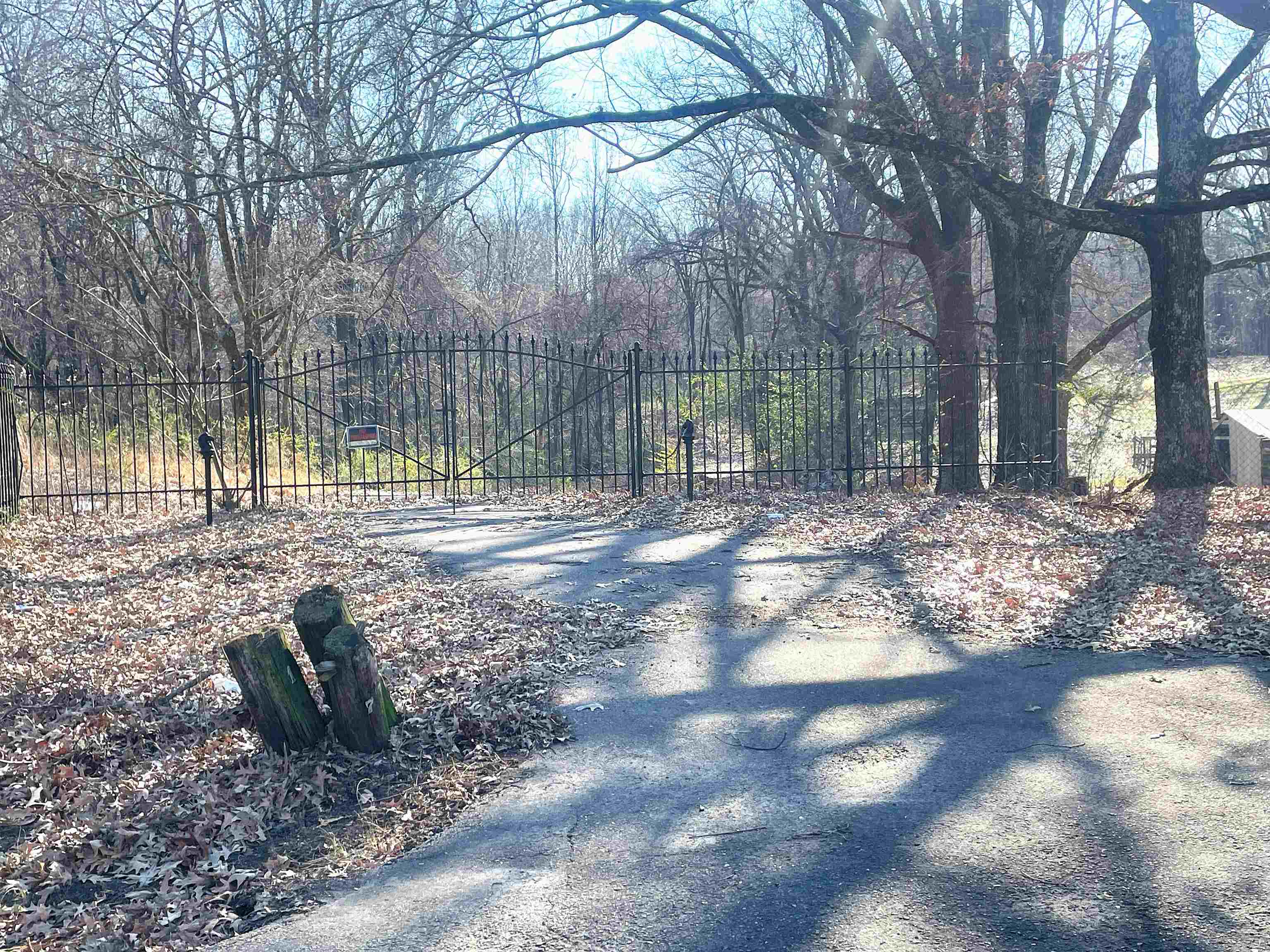 175 Windsor Road Memphis, TN 38109 - Photo 3 of 6 a view of a yard with a tree