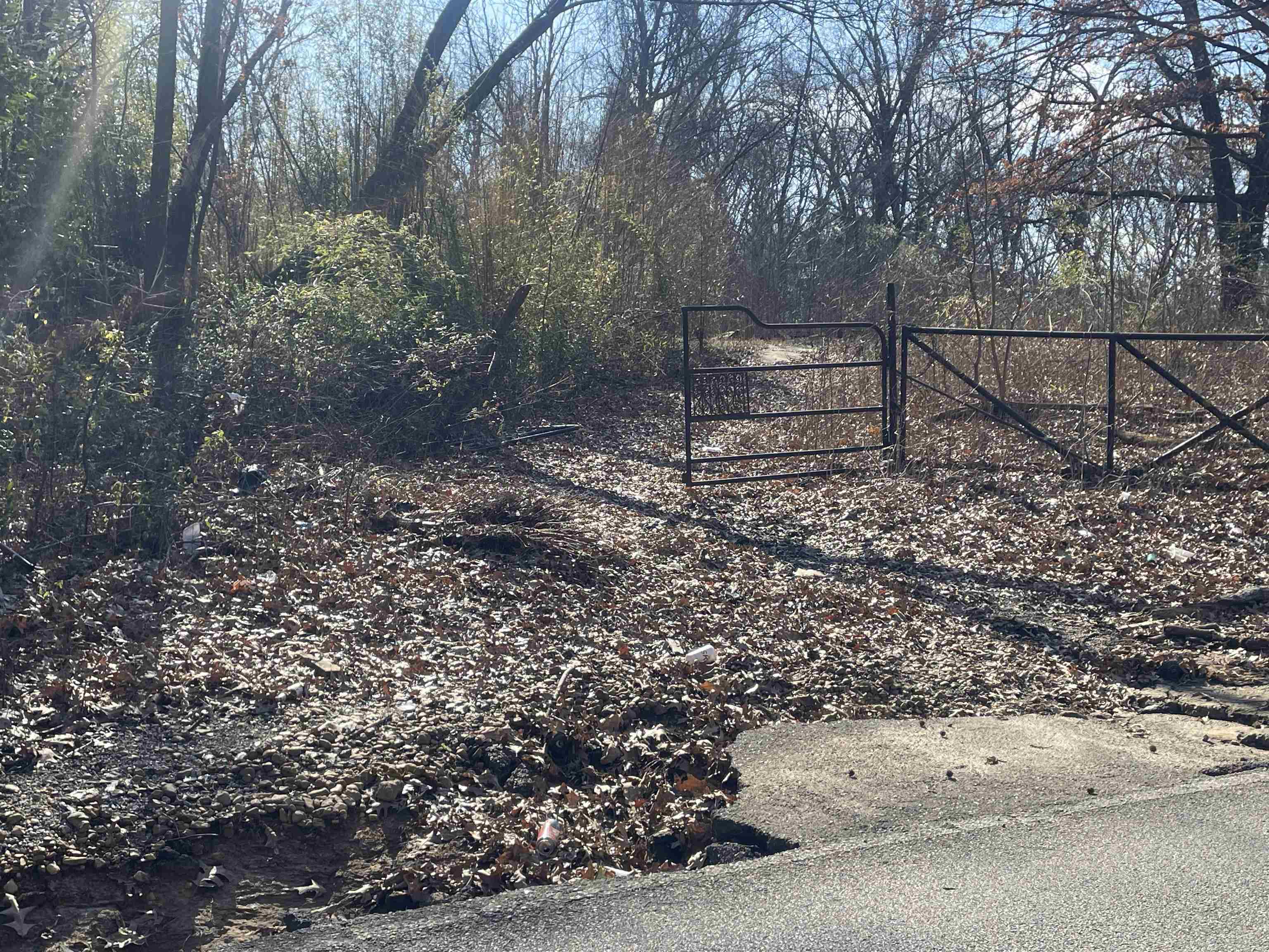 175 Windsor Road Memphis, TN 38109 - Photo 4 of 6 a view of outdoor space and yard