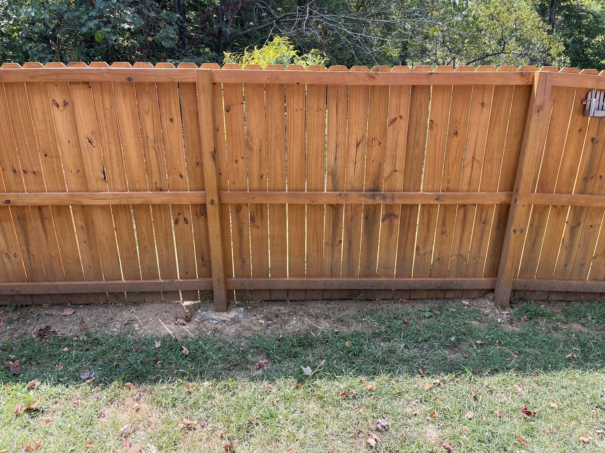 186 Countryside Drive Dover, TN 37058 - Photo 5 of 12