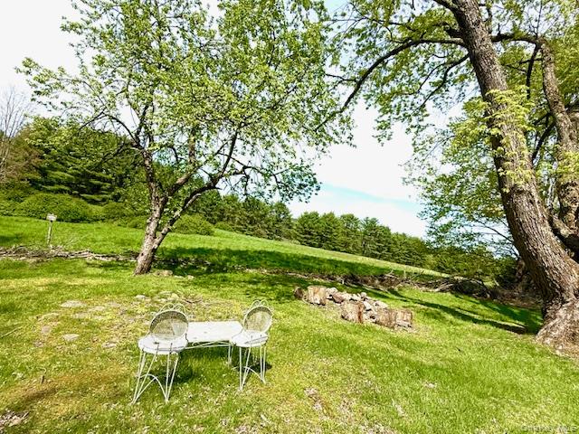 94 Airport Road Eldred, NY 12732 - Photo 2 of 18