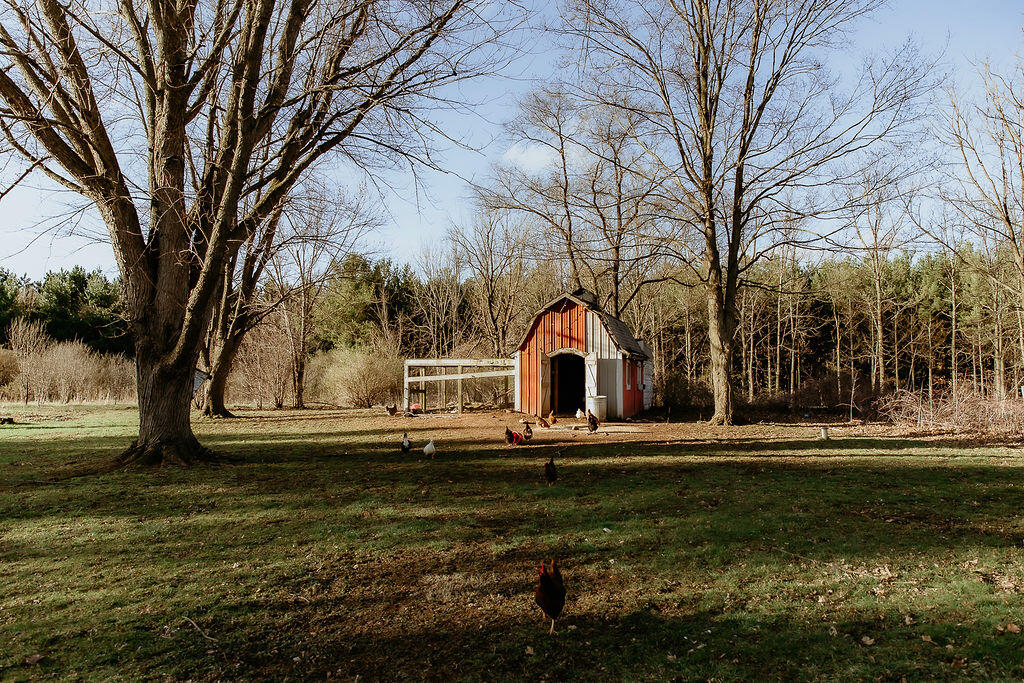 W8139 County Rd A Richmond, WI 53115 - Photo 39 of 47 Back Yard