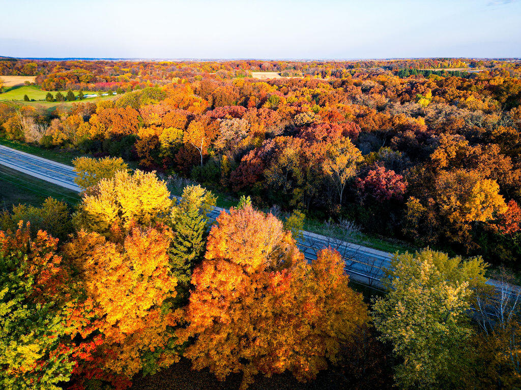 W8139 County Rd A Richmond, WI 53115 - Photo 41 of 47 fall colors
