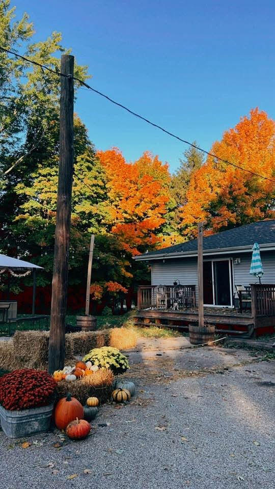 W8139 County Rd A Richmond, WI 53115 - Photo 44 of 47 fall colors