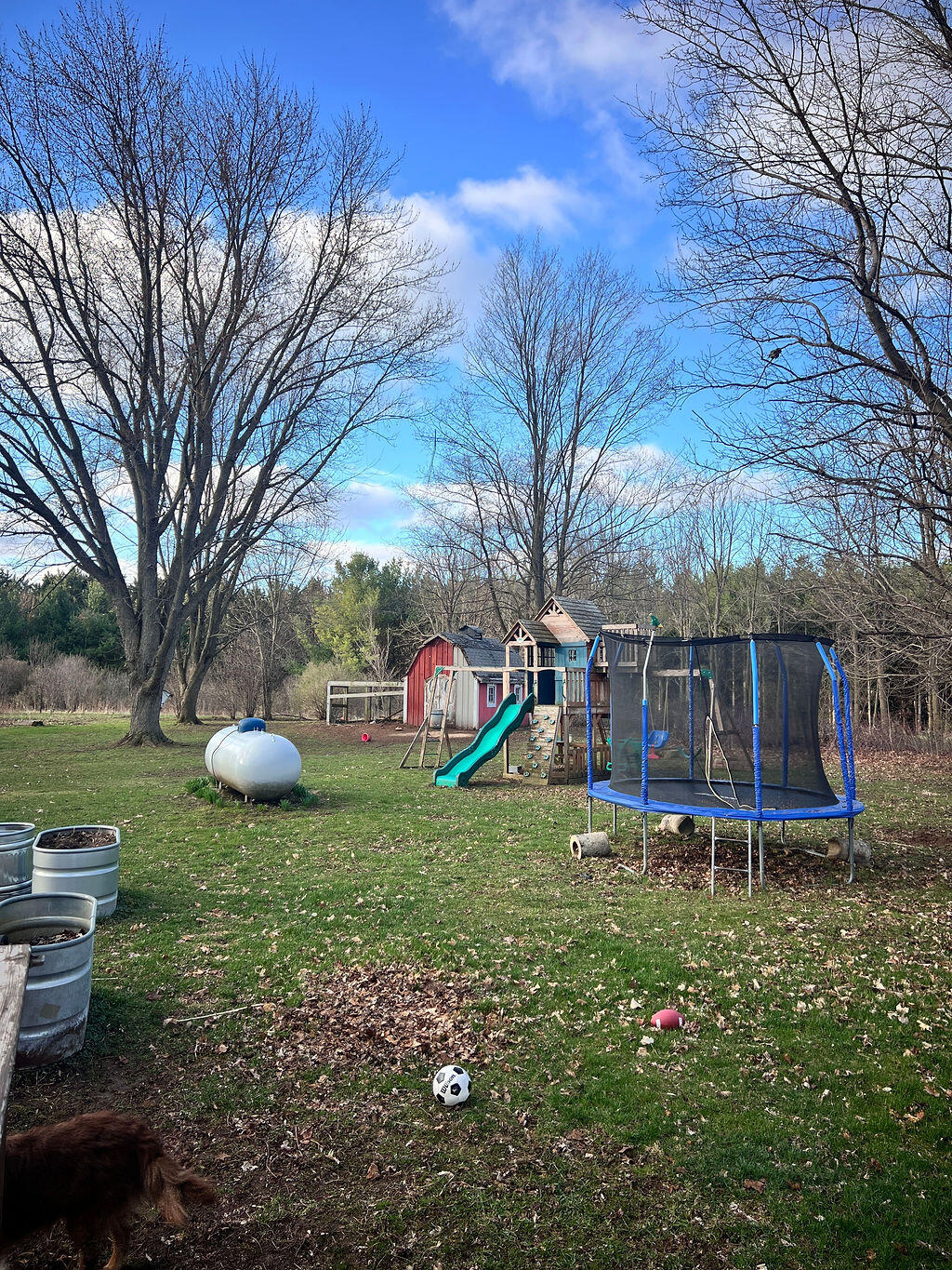 W8139 County Rd A Richmond, WI 53115 - Photo 45 of 47 Back Yard
