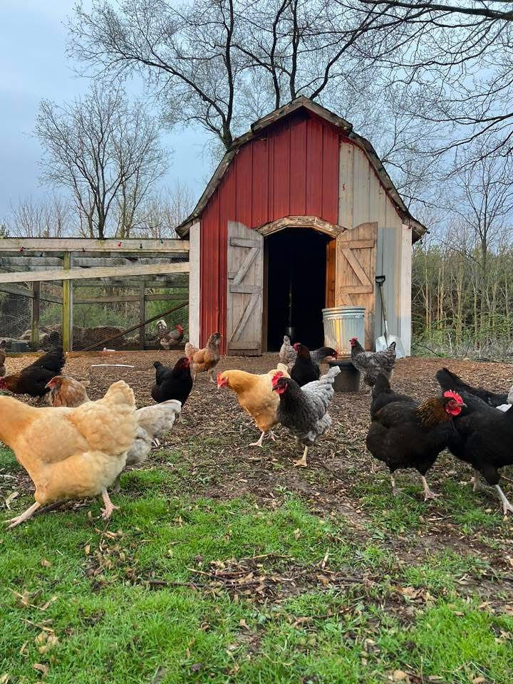 W8139 County Rd A Richmond, WI 53115 - Photo 46 of 47 Chicken Coop