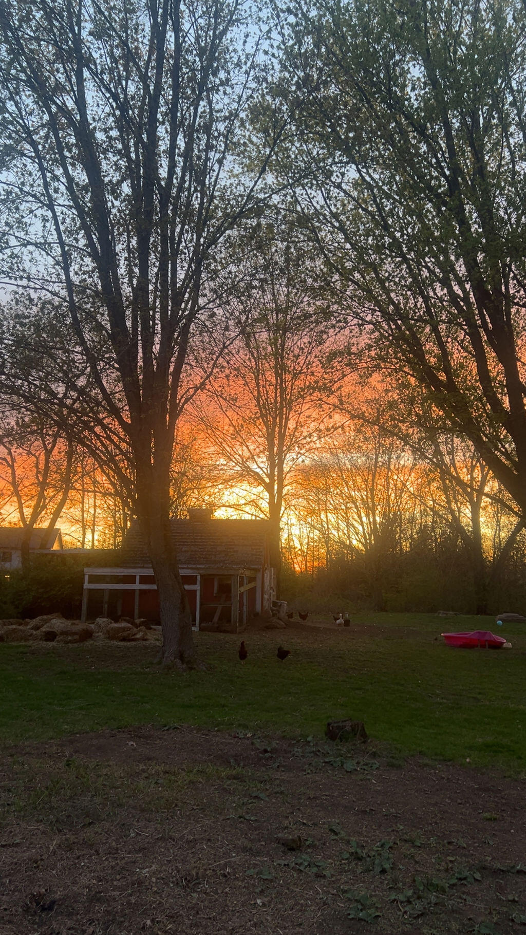 W8139 County Rd A Richmond, WI 53115 - Photo 47 of 47 Sunsets