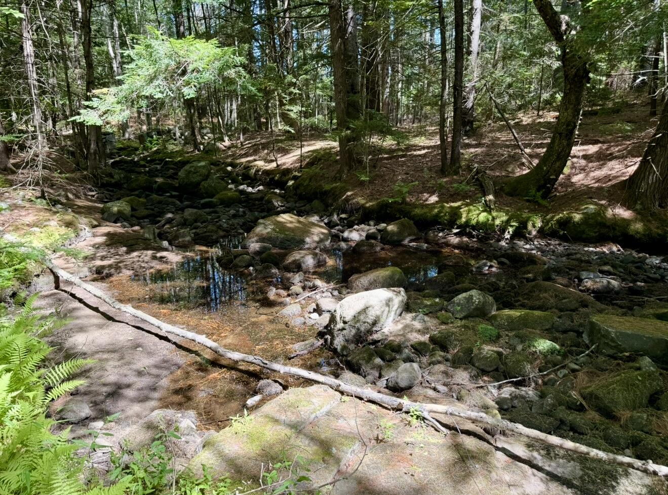 519 Norway Road Harrison, ME 04040 - Photo 59 of 60 IMG_3719 (1)