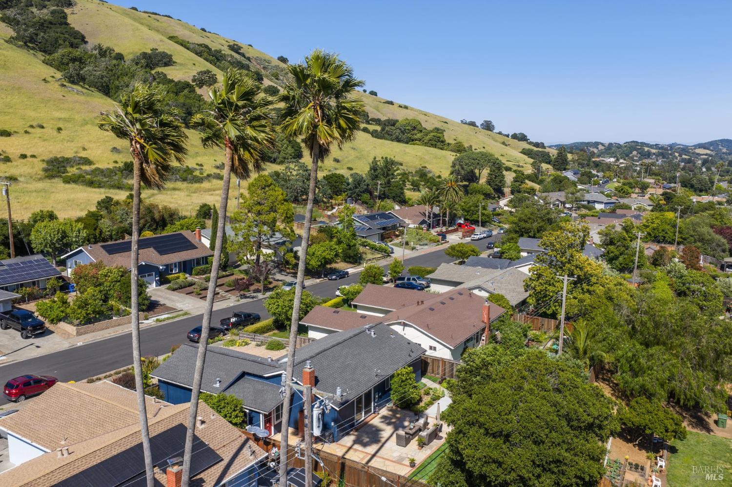 115 Daryl Avenue Novato, CA 94947 - Photo 47 of 53