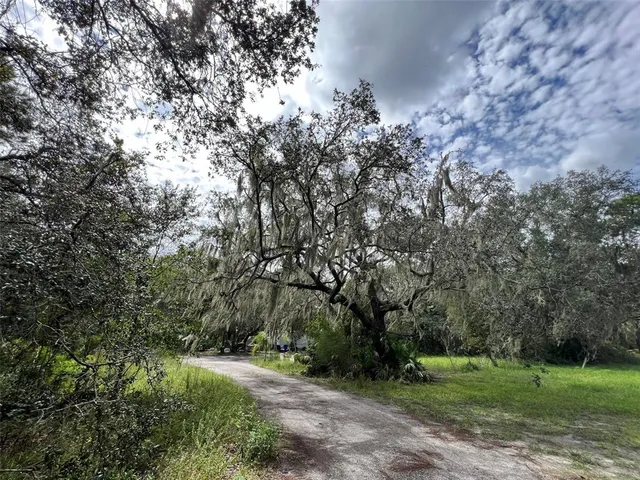a big yard with lots of green space and trees around