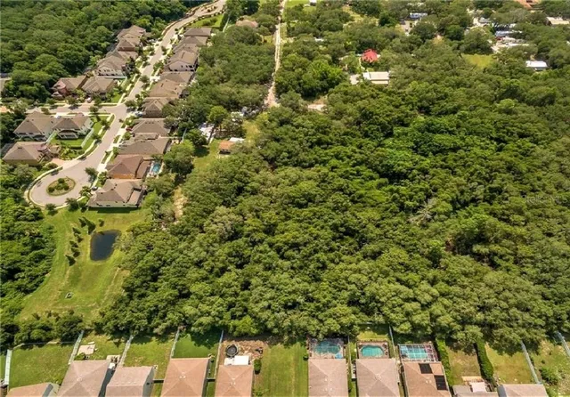 a view of a yard with plants and large trees