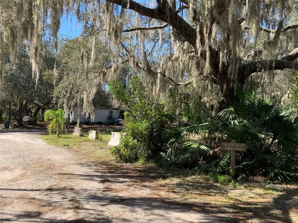 a view of street along with trees