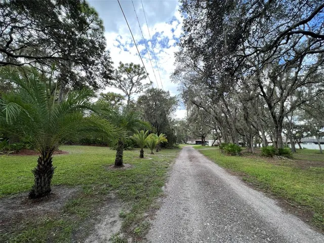 a view of a park with large trees