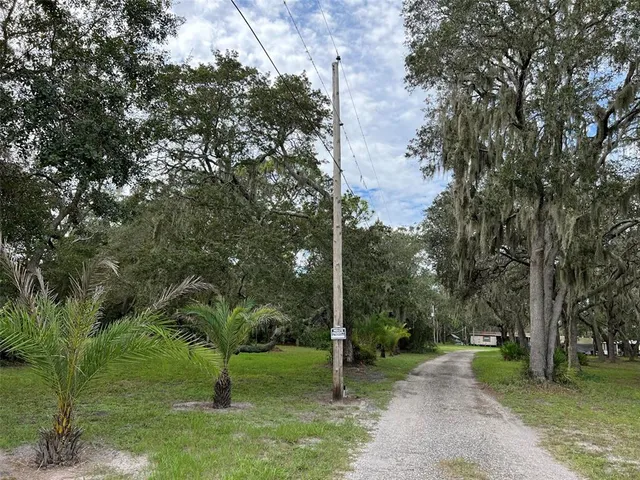 a view of a park with large trees