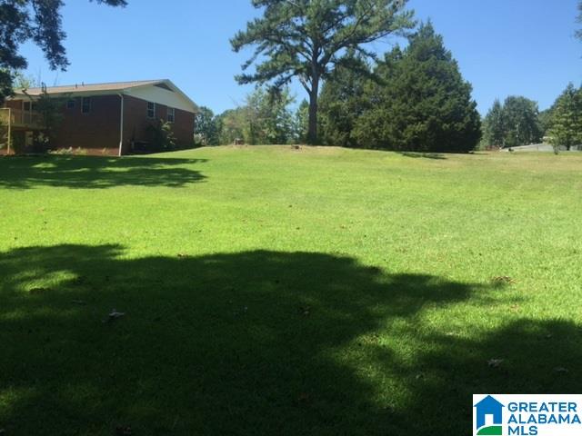 144 Highway 19 Montevallo Al Montevallo, AL 35115 - Photo 2 of 24