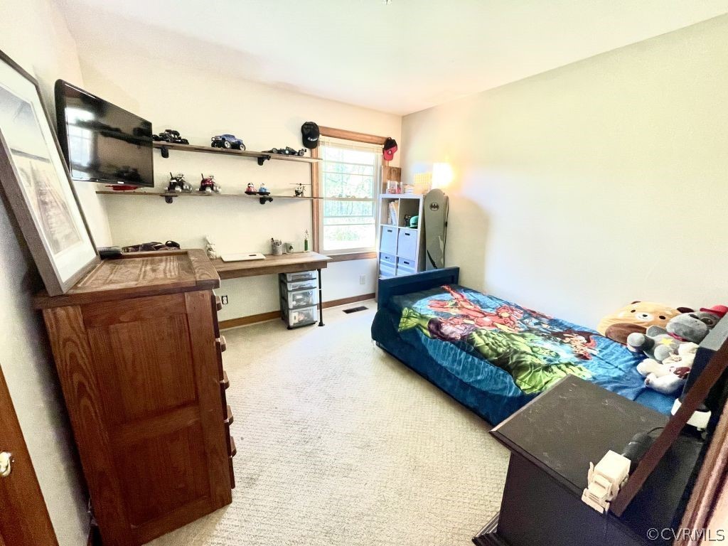 17810 Wilkinson Road Dinwiddie, VA 23841 - Photo 18 of 33 Gallery Image 18