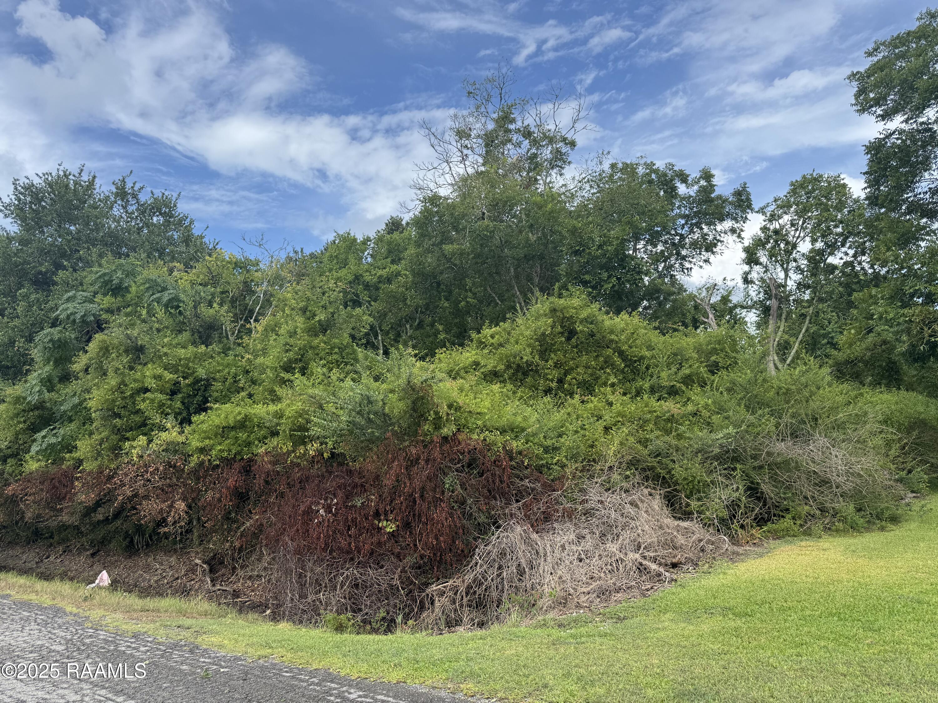 Wright Road Gueydan, LA 70542 - Photo 2 of 4 IMG_7945