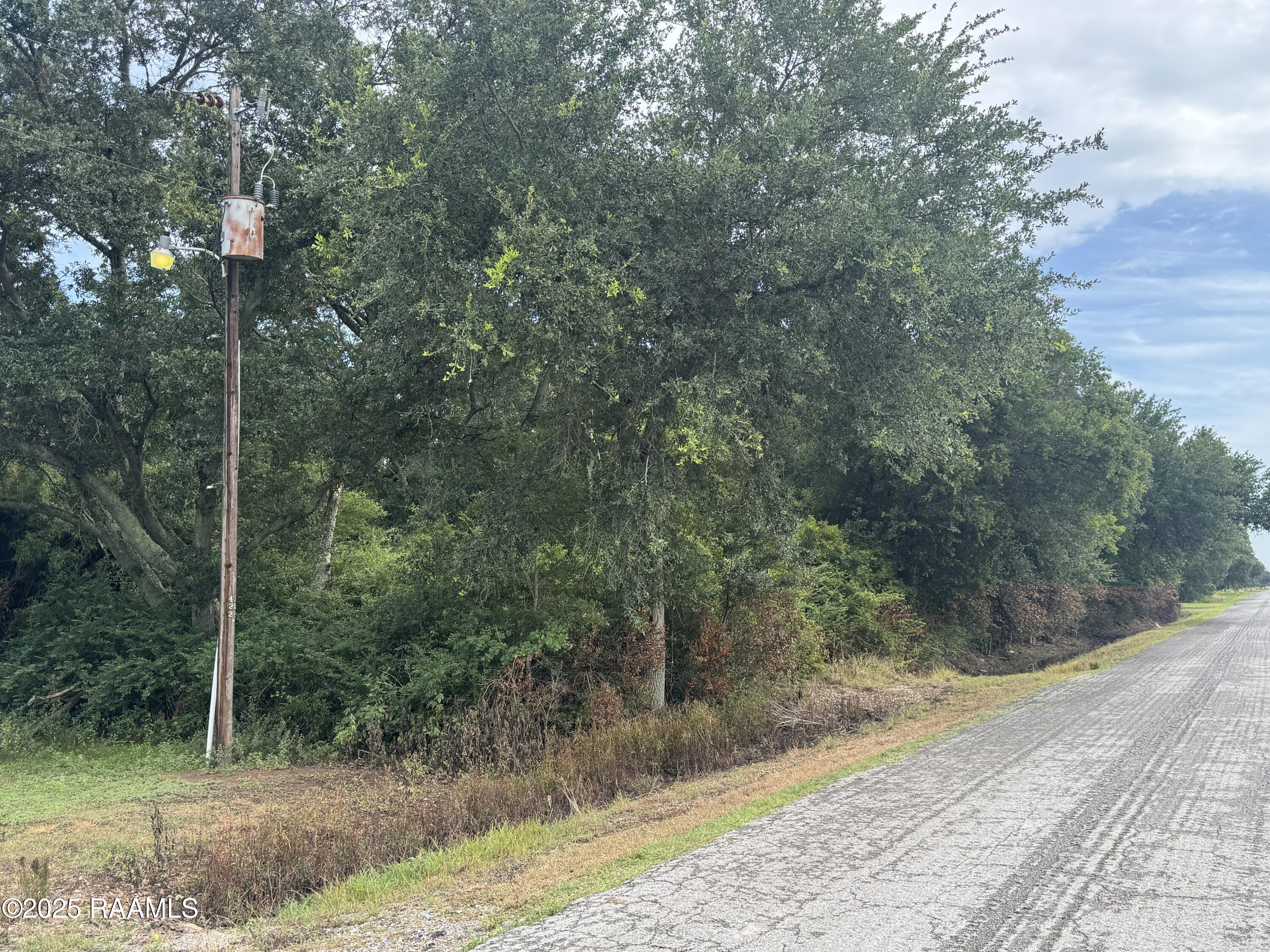 Wright Road Gueydan, LA 70542 - Photo 4 of 4 IMG_7942
