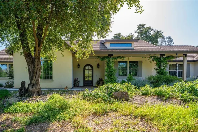 a front view of house with a garden