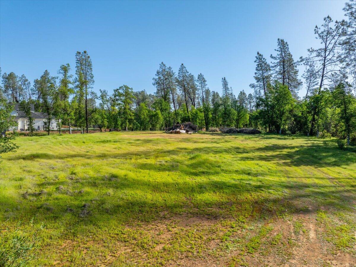3 Silver King Road Redding, CA 96001 - Photo 4 of 13 a view of a green field with trees in the background