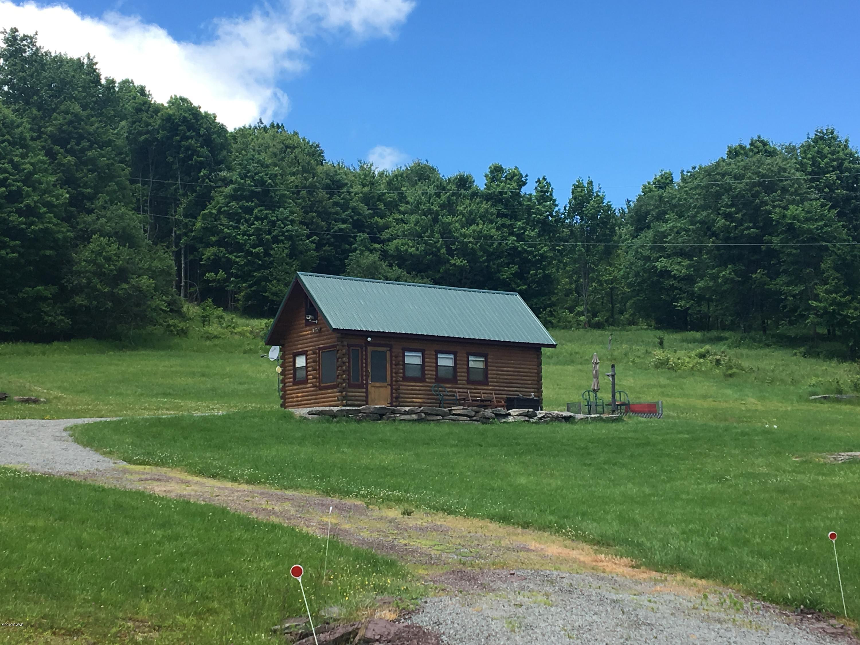 1199 Pine Mill Road Equinunk, PA 18417 - Photo 2 of 27