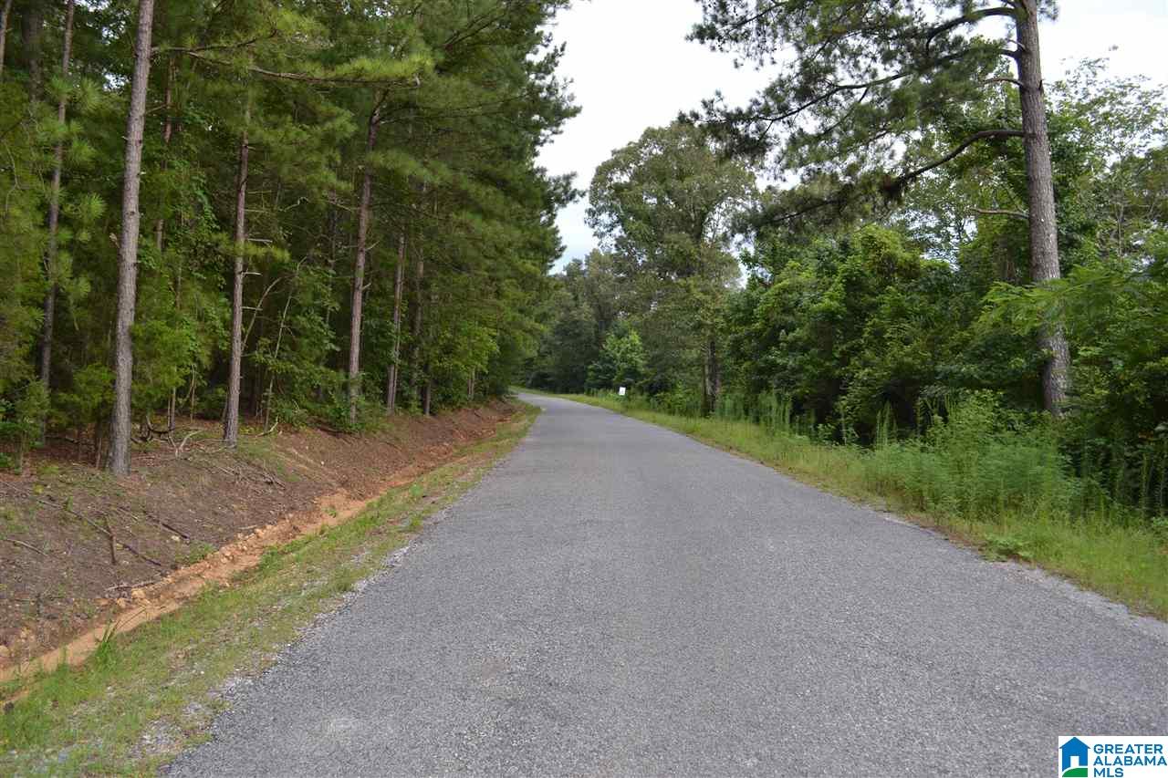 0 Water Oak Lane, Unit 39 ACRES Alpine, AL 35014 - Photo 4 of 7
