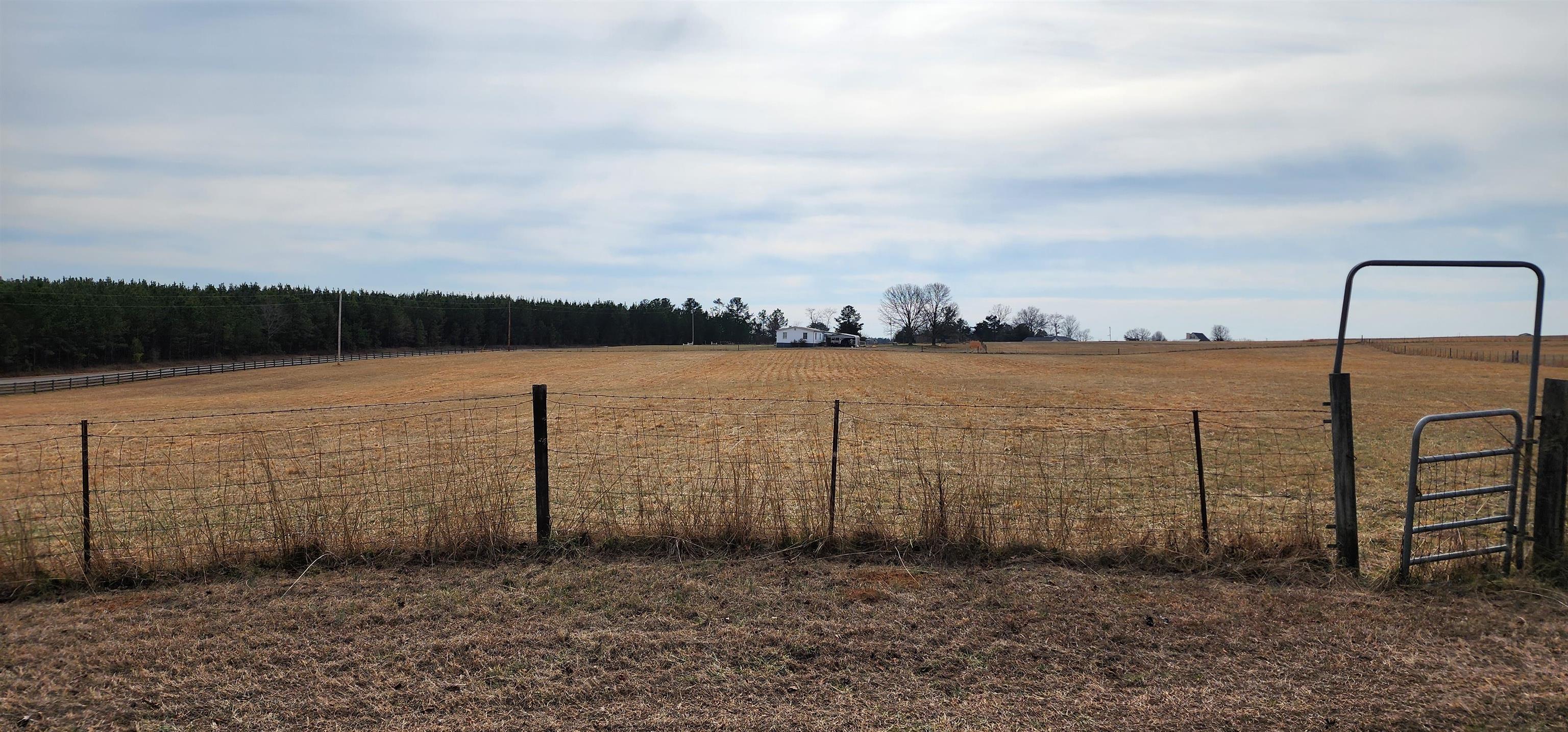 Lot 8 Ted Smith Road Rutherfordton, NC 28139 - Photo 6 of 25