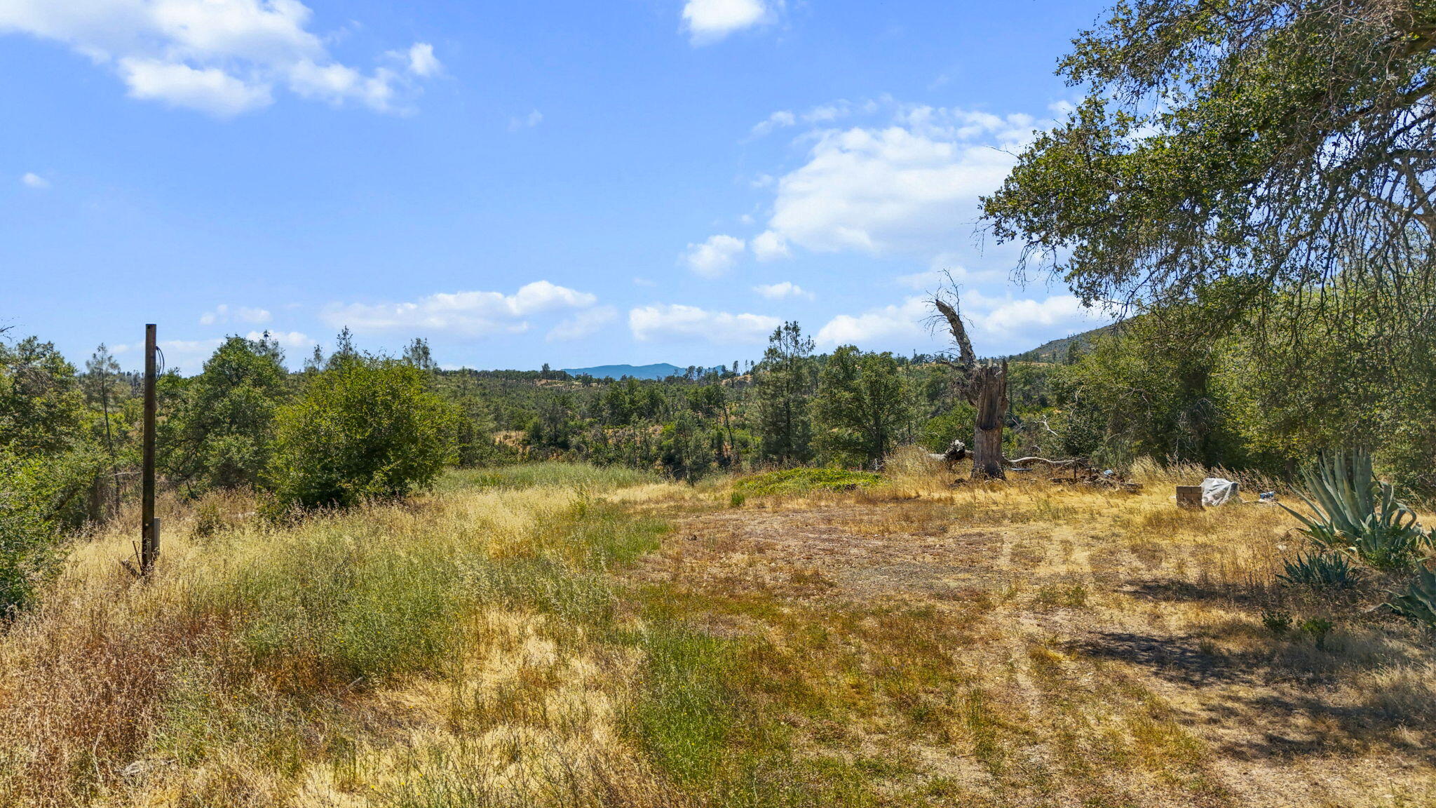 8034 Muletown Road Redding, CA 96001 - Photo 3 of 17 13-web-or-mls-DJI_20260610141124_0154_D