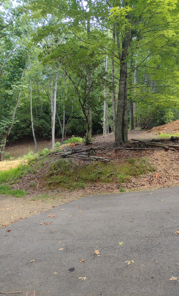 0 Radiant Cove Brasstown, NC 28902 - Photo 2 of 7