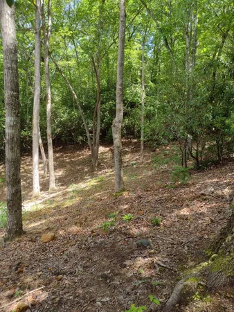 $27,900 | 0 Radiant Cove, Brasstown, NC 28902