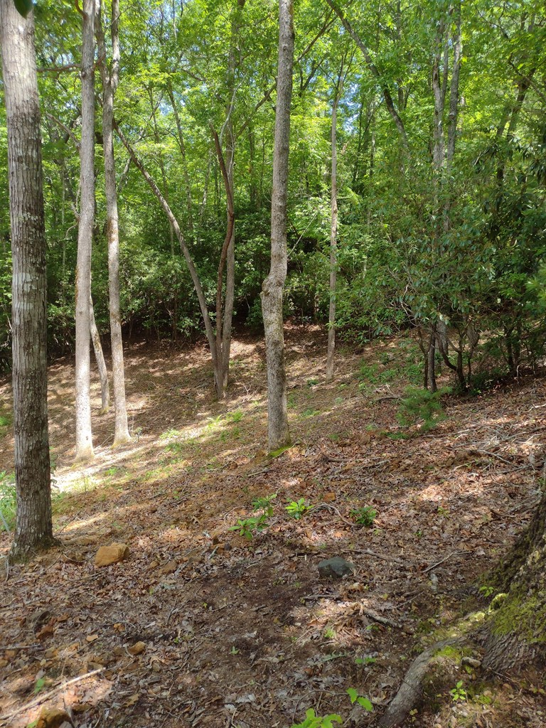 0 Radiant Cove Brasstown, NC 28902 - Photo 3 of 7